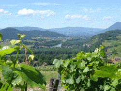 Jongieux et le Rhone