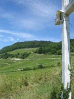 croix à Jongieux